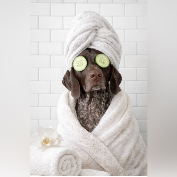 LIVE SHOW Listing - KRISTA is LIVE! Come share, shop & hang! - Picture 11 of 11